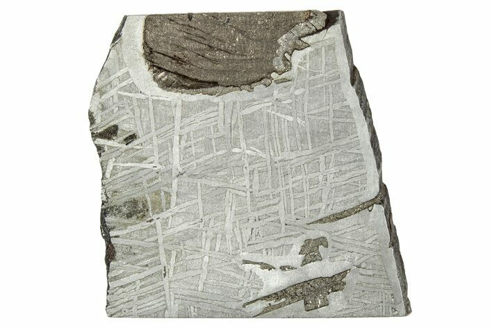 Etched Saint-Aubin Iron Meteorite Slice ( g) - France #346518